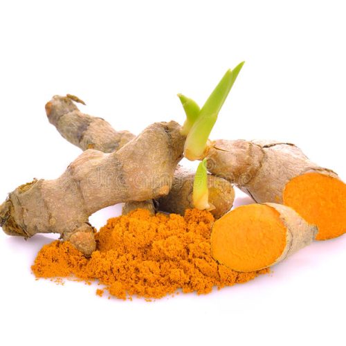 Turmeric Plant powder